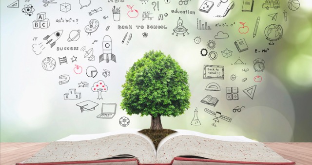 images